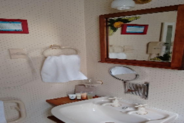 Hotel Collingwood Manor (Nelson)